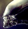 Alien Anthology