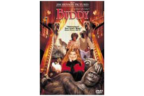 Still shot from the movie: Buddy.