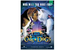 Still shot from the movie: Cats & Dogs.