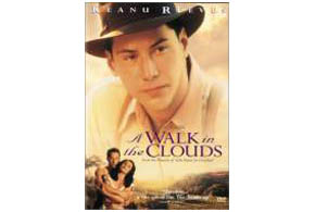 Still shot from the movie: Walk In The Clouds, A.