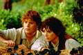 Lord Of The Rings: Fellowship Of The Ring (2001) - Official site