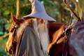 Lord Of The Rings: Fellowship Of The Ring (2001) - Official site
