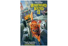Still shot from the movie: Homeward Bound II: Lost In San Francisco.