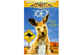 Still shot from the movie: Joey.