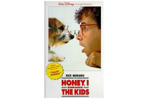 Still shot from the movie: Honey I Shrunk The Kids.