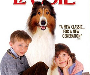 Still shot from the movie: Lassie (2006).