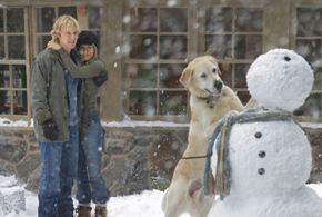 Still shot from the movie: Marley & Me.