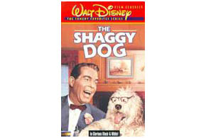 Still shot from the movie: Shaggy Dog (1959), The.