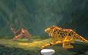 Tarzan - Official Site