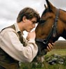 War Horse