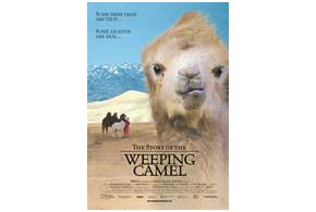 Still shot from the movie: Story of the Weeping Camel, The.