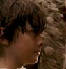 Where the Wild Things Are
