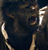 Wolfman, The