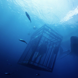 47 Meters Down
