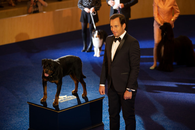 Picture from Show Dogs Gets A Needed Makeover