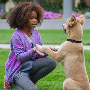 Annie (2014)