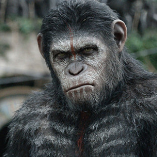 Dawn of the Planet of the Apes