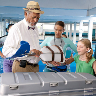 Dolphin Tale