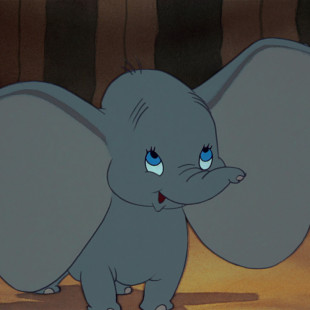 Dumbo