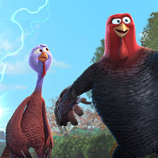 Free Birds