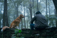 Good Boy (2025)
