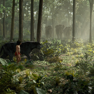 The Jungle Book (2016)