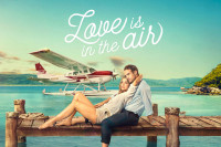 Love Is in the Air