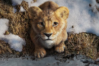 Mufasa: The Lion King