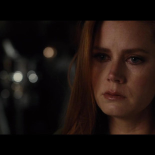 Nocturnal Animals