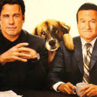 Old Dogs