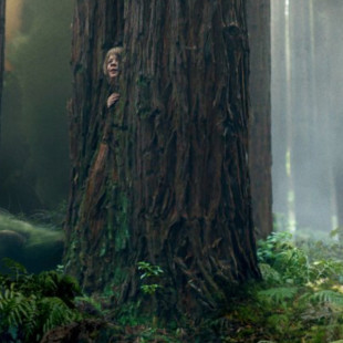Pete’s Dragon (2016)