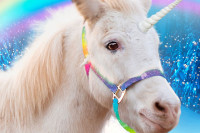 A Unicorn for Christmas