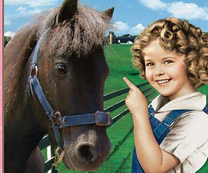 Curly Top parents guide