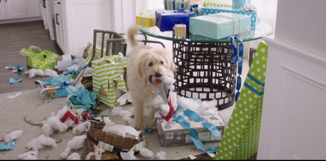 Dog Days parents guide