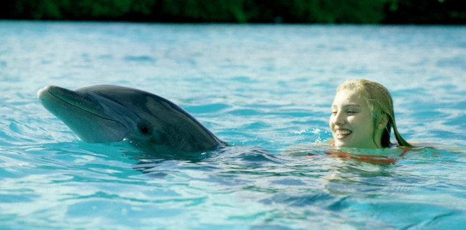 Dolphin Island parents guide