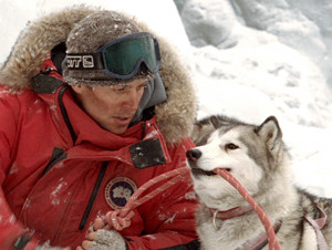 Eight Below parents guide