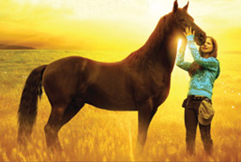 Flicka 2 parents guide