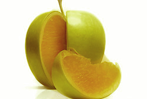 Freakonomics parents guide