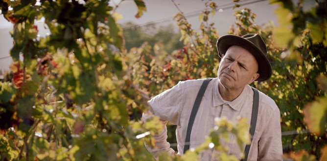From the Vine parents guide