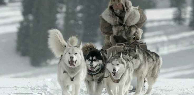 The Great Alaskan Race parents guide