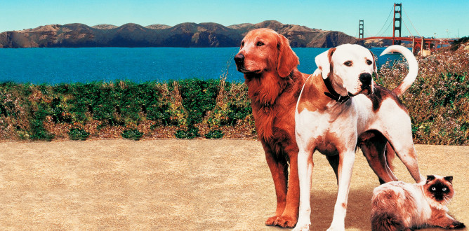 Homeward Bound II: Lost In San Francisco parents guide