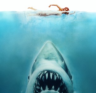 Jaws