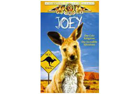 Joey parents guide