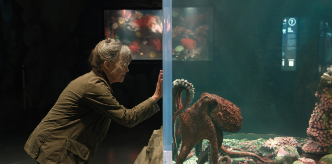 Remarkably Bright Creatures parents guide