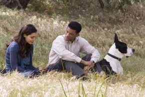 Seven Pounds parents guide