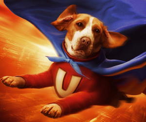 Underdog parents guide