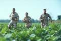 O Brother, Where Art Thou? - Official site
