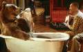 Dr. Dolittle 2 - Official site